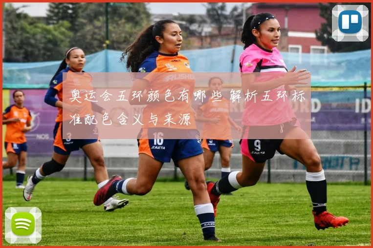 奥运会五环颜色有哪些 解析五环标准配色含义与来源