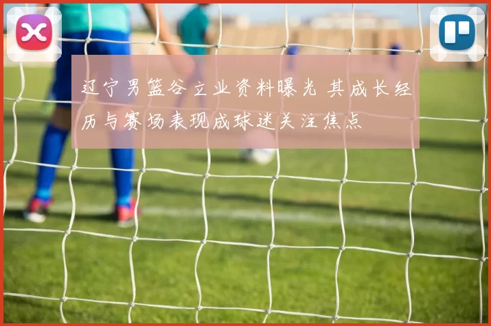 辽宁男篮谷立业资料曝光 其成长经历与赛场表现成球迷关注焦点